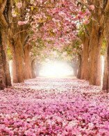 Stellina - Liebe & Partnerschaft - Medium & Channeling - Lebenshilfe - Selbstfindung - Familie & Kinder Stellina - Liebe & Partnerschaft - Medium & Channeling - Lebenshilfe - Selbstfindung - Familie & Kinder